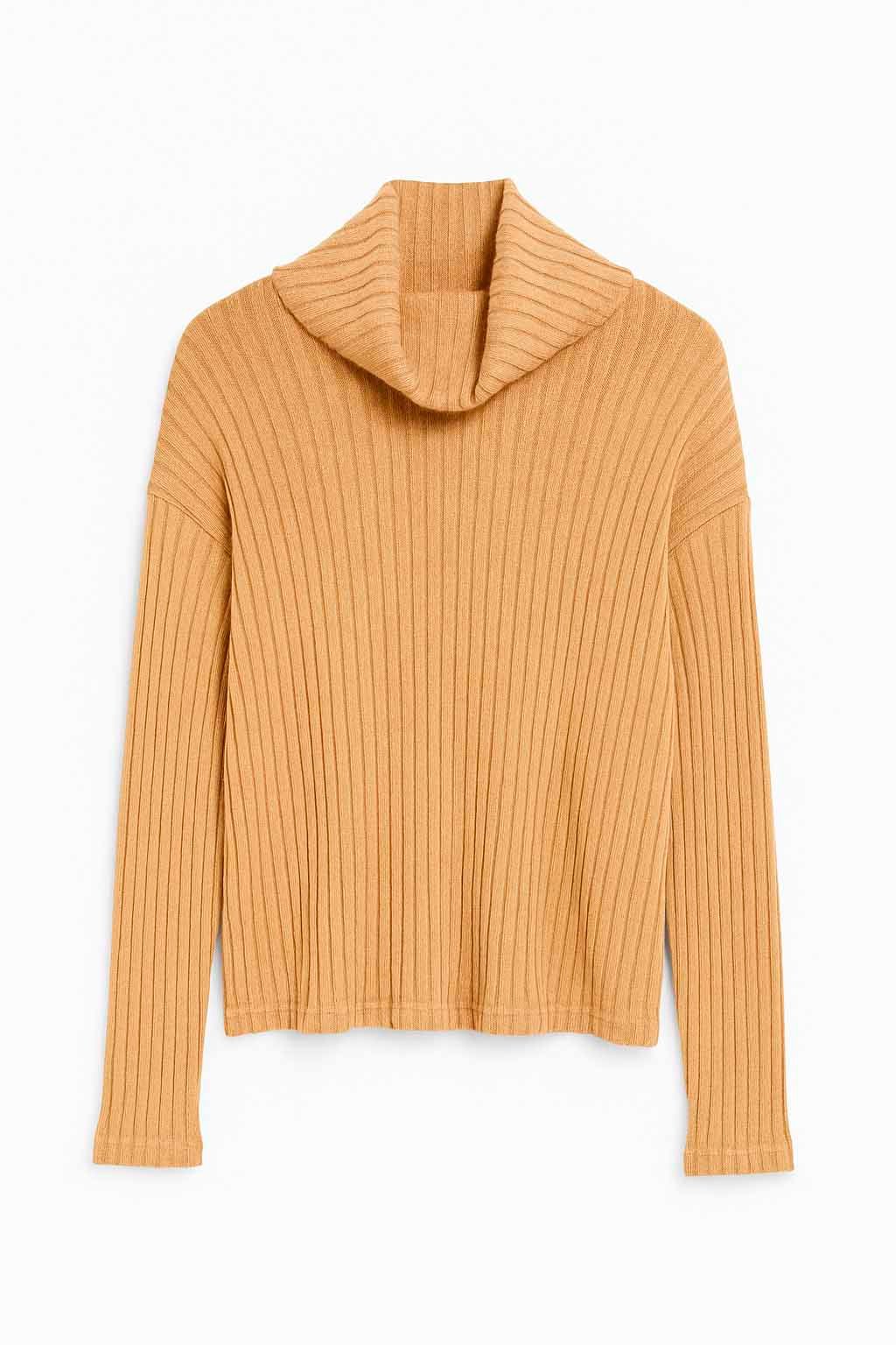 chom-fedr-bei CHOMPA FEDRA - Imagen 1