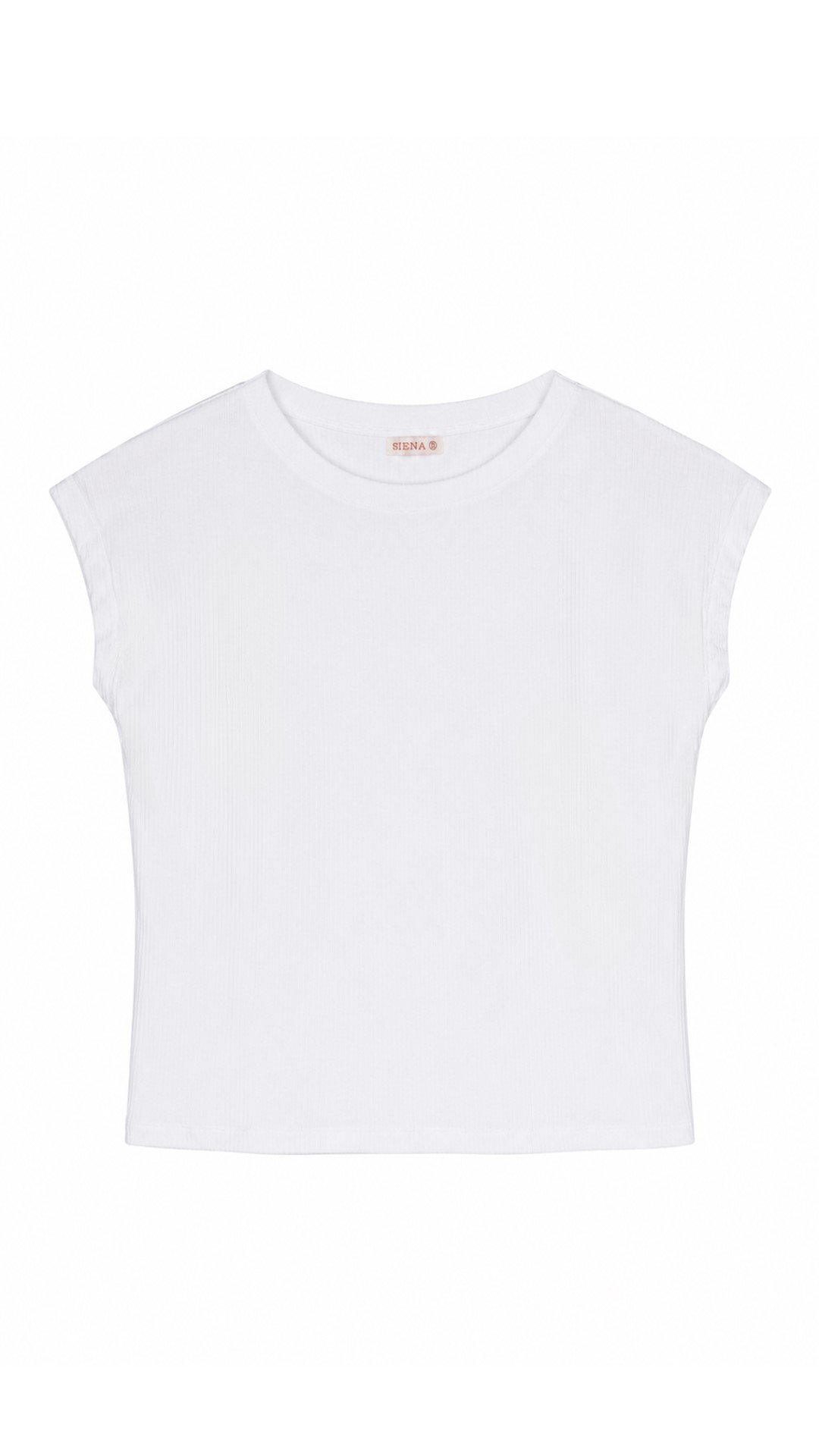 Polo Noelia, vista 4